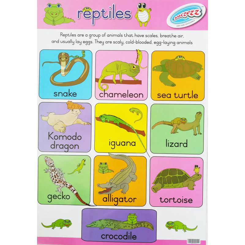POSTER - REPTILES
