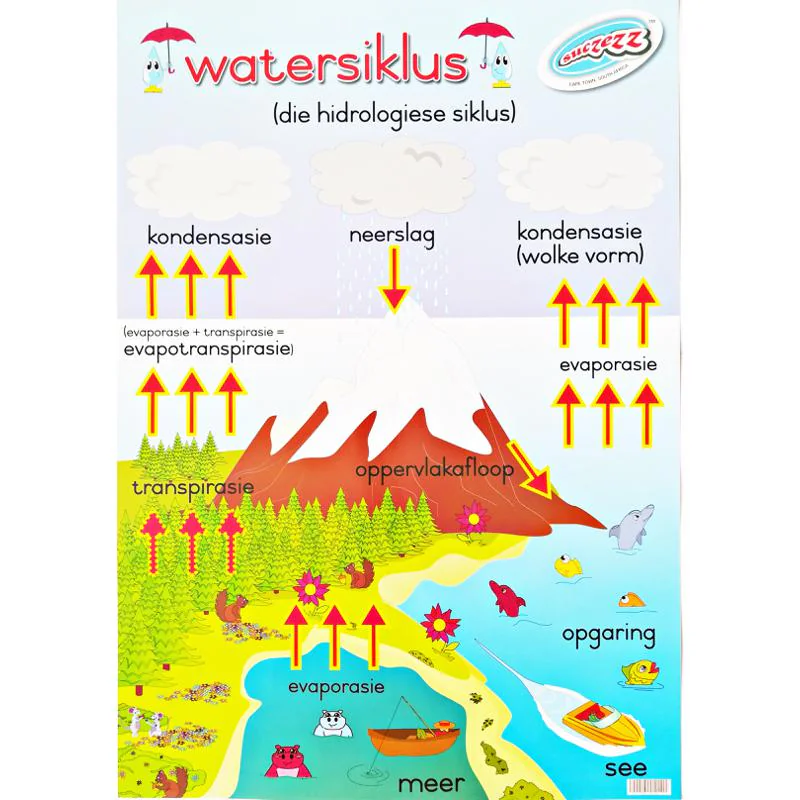 POSTER - WATERSIKLUS